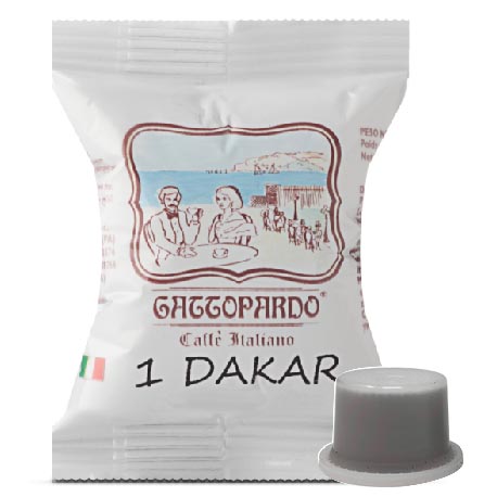 gattopardo-uno-system-dakar